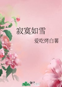 寄寞如雪