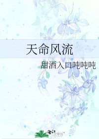 《天命风流》