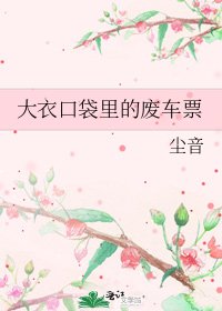 《大衣口袋里的废车票》