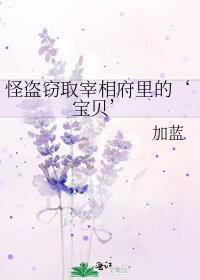 《怪盗窃取宰相府里的‘骗贝’》