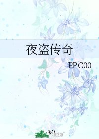 《夜盗传奇》