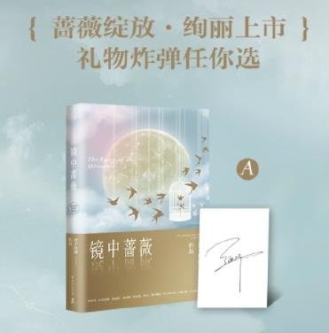 镜中蔷薇（出书版）
