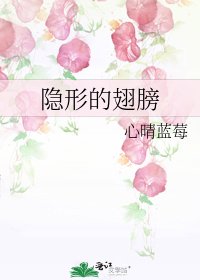 《隐形的翅膀》