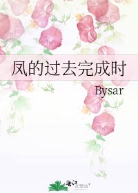 《凤的过去完成时》