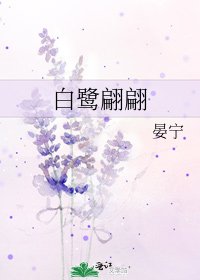 白鹭翩翩