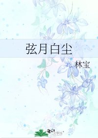 弦月摆尘