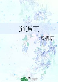 《逍遥王》