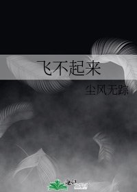 《飞不起来》