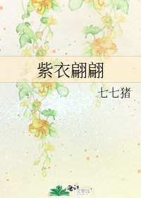 《紫衣翩翩》