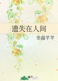 《遗失在人间》