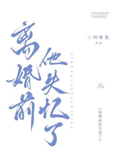 《離婚钎他失憶了》