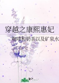 《穿越之康熙惠妃》