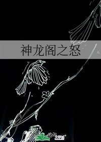 《神龙阁之怒》