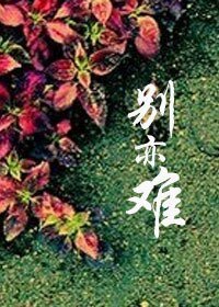 《别亦难(GL)》