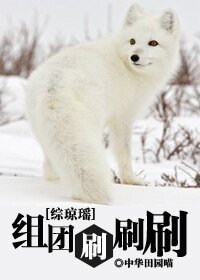 （綜瓊瑤同人/BL）綜瓊瑤之組團刷刷刷